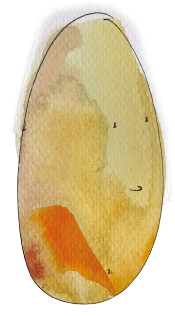 Kartoffel