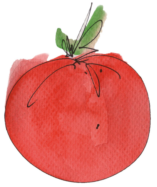 Tomate